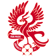 安阳FC